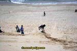 sandboard_japan_competition_0019